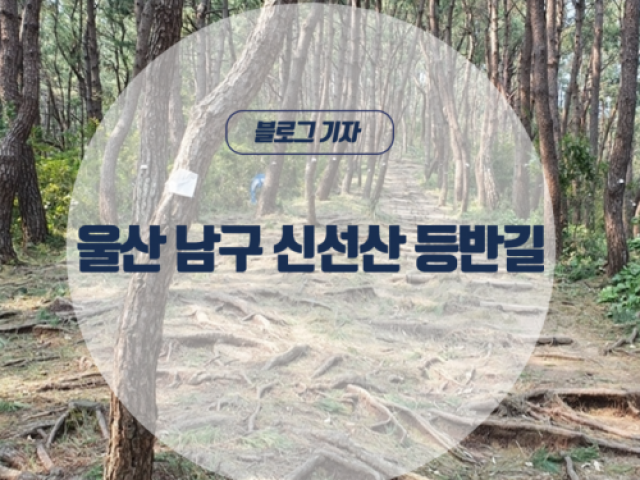 [블로그기자] 울산 남구 신선산 등반길… 간 김에 신선산까지….