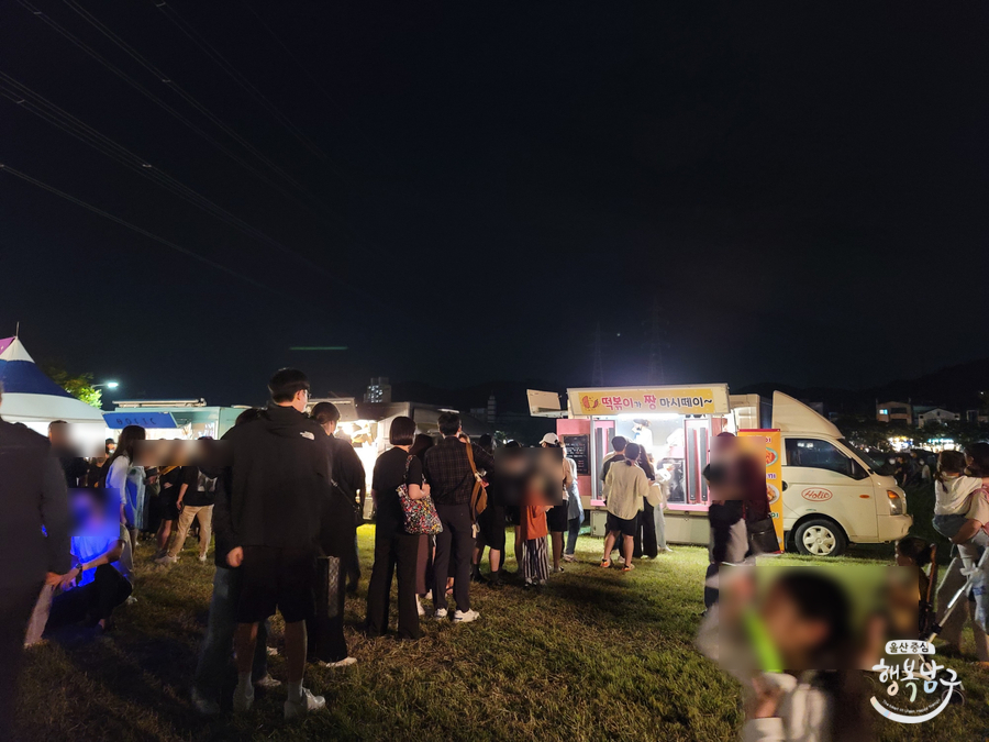 [블로그 기자] 내년에 다시 만날 철새공원 빛축제 & 드론쇼 사진 26