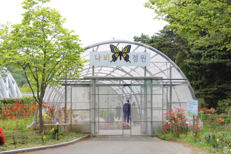 [블로그 기자] 아이와 함께 떠난 생태여행~ 울산대공원 남문 생태여행관! 사진 12