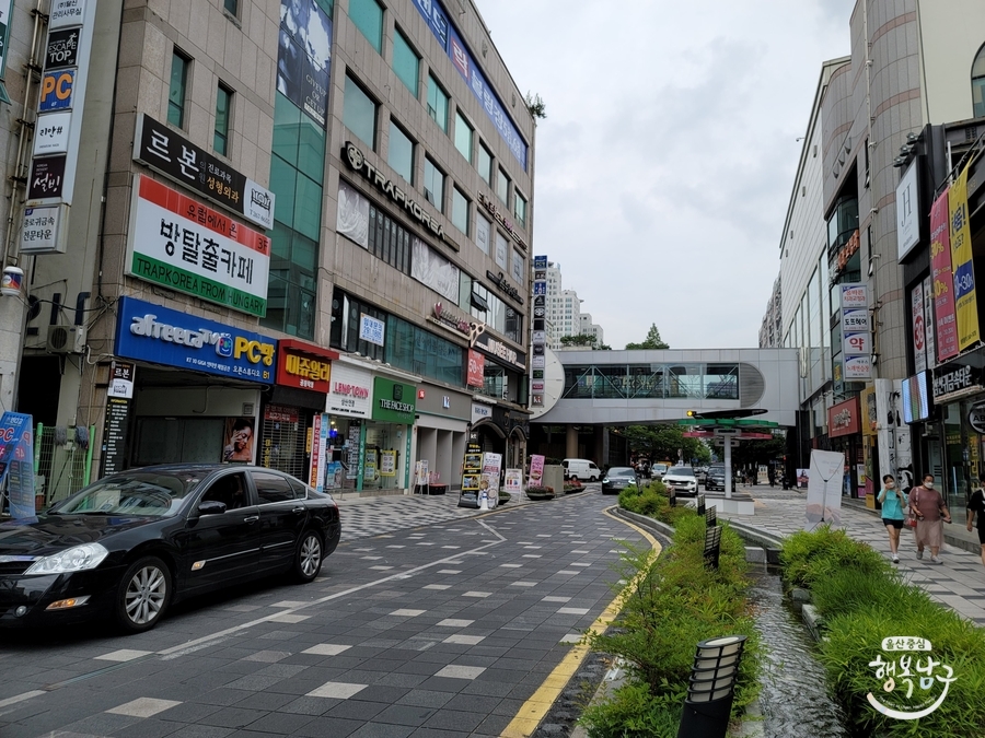 [블로그 기자] 쾌적하게 휴식이 가능한 스마트 솔라트리 사진 20