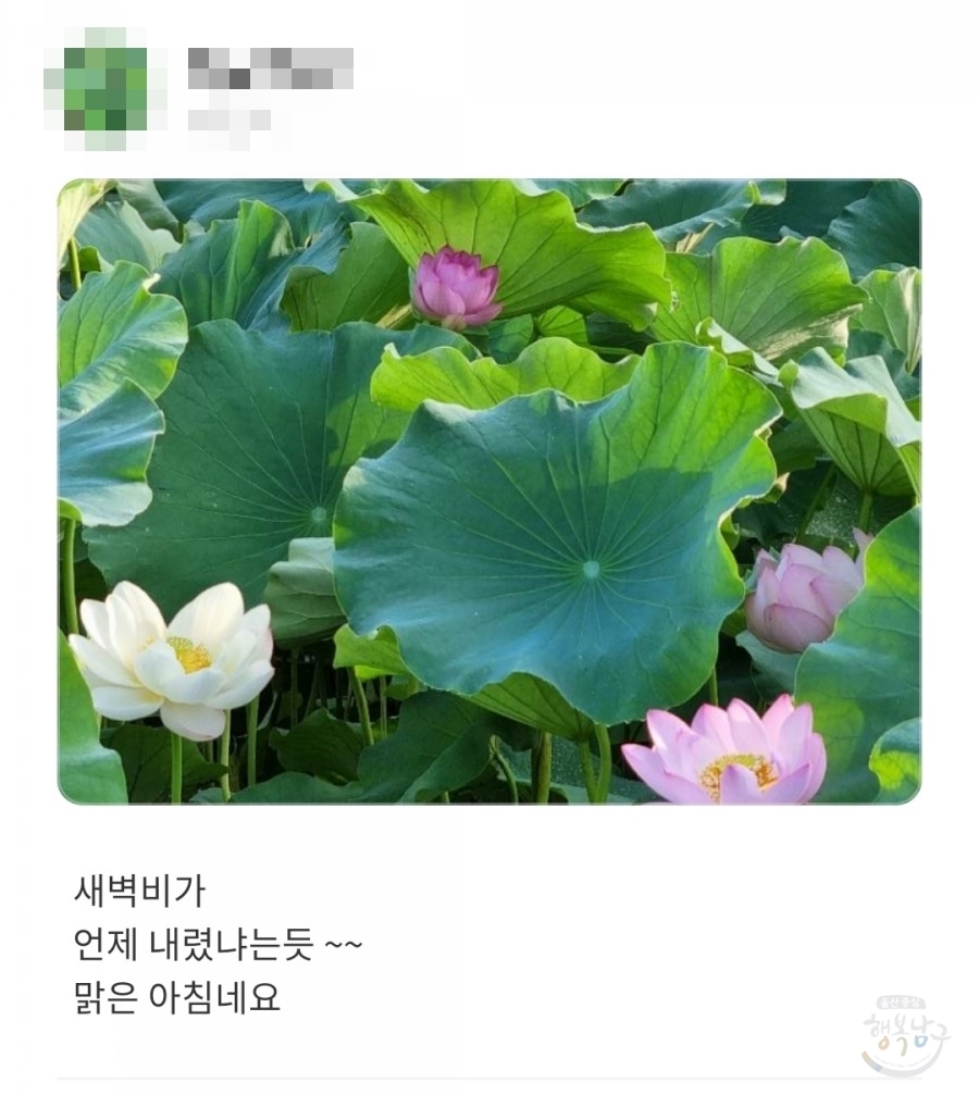 [블로그 기자] 함께 걸어요."워킹 투게더"울산광역시 남구보건소 사진 10
