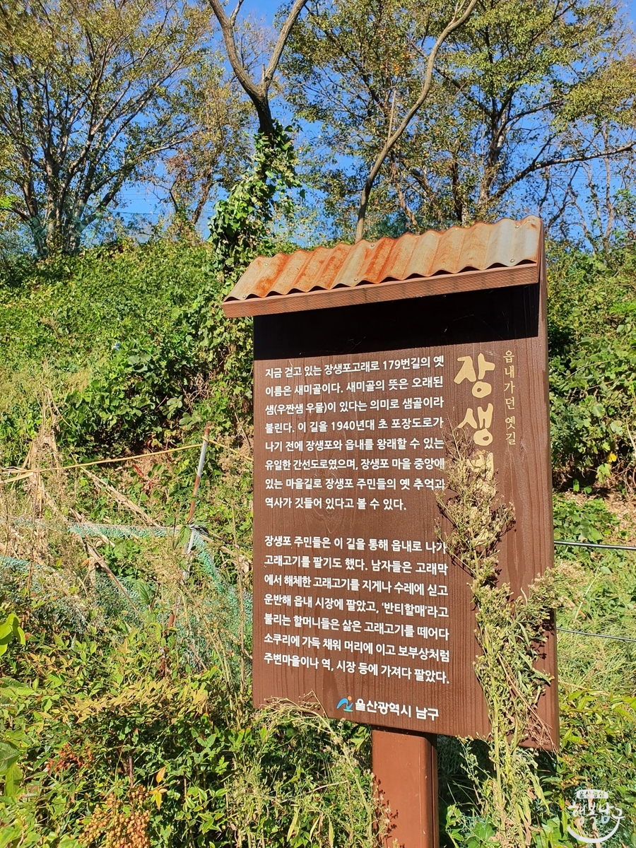 [블로그 기자] 장생포 옛길 한 바퀴 사진 11