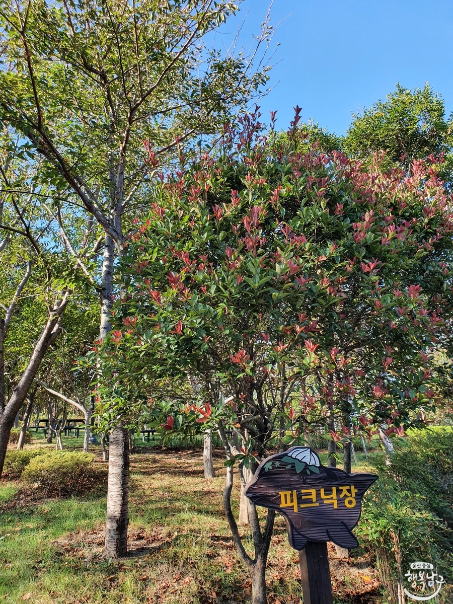 [블로그 기자] 장생포 옛길 한 바퀴 사진 17