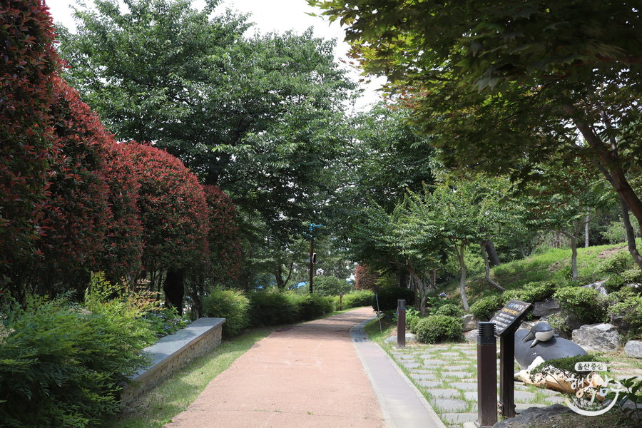 [블로그 기자] 장생포 고래문화마을 고래이야기길 산책하기 좋은 곳 사진 4