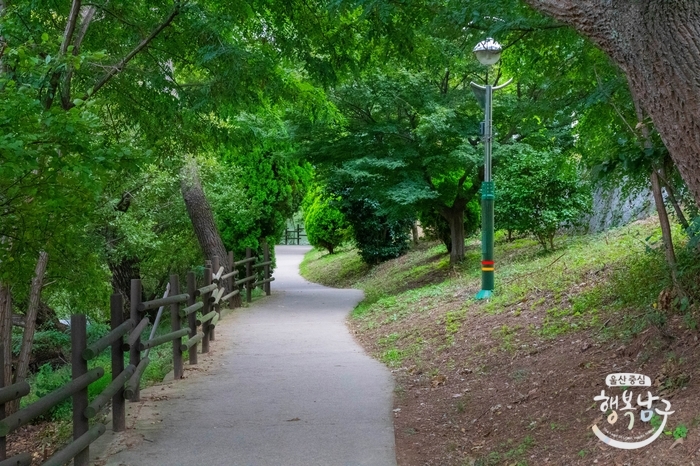 [블로그 기자] 선암호수 공원에 다양한 가을꽃이 피었습니다. 사진 14