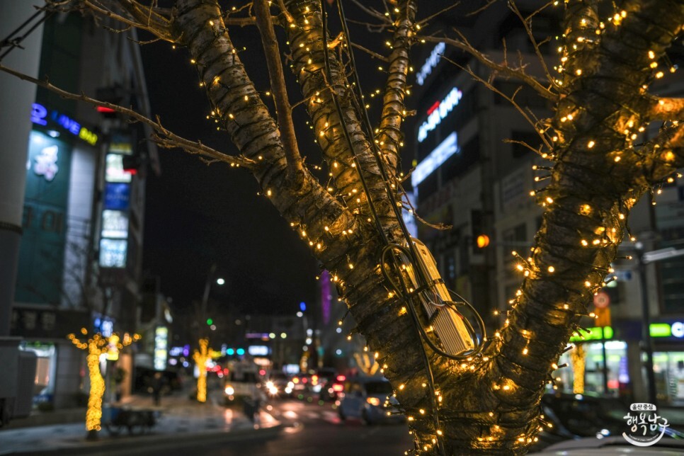 [블로그 기자] 도심의 밤은 아름답다! 경관조명이 설치된 왕생이길 사진 17