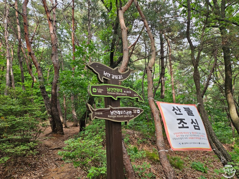 남구에 아름다운 풍경을 볼 수 있는 곳, 남산 전망대를 다녀온 생생후기 사진 14