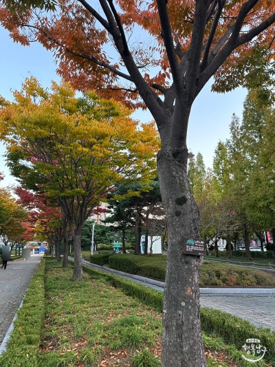 [블로그 기자] 가을 산책과 역사 공부하기 좋은 “울산 문화공원” 사진 8
