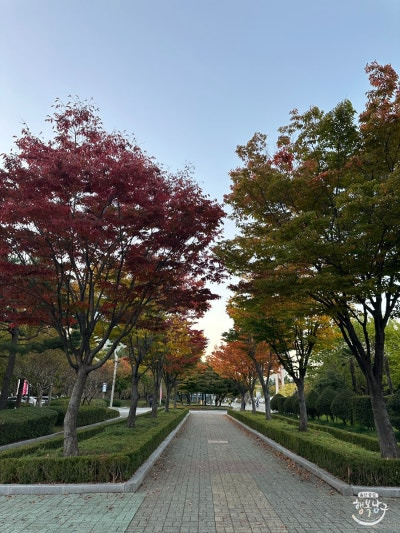 [블로그 기자] 가을 산책과 역사 공부하기 좋은 “울산 문화공원” 사진 5
