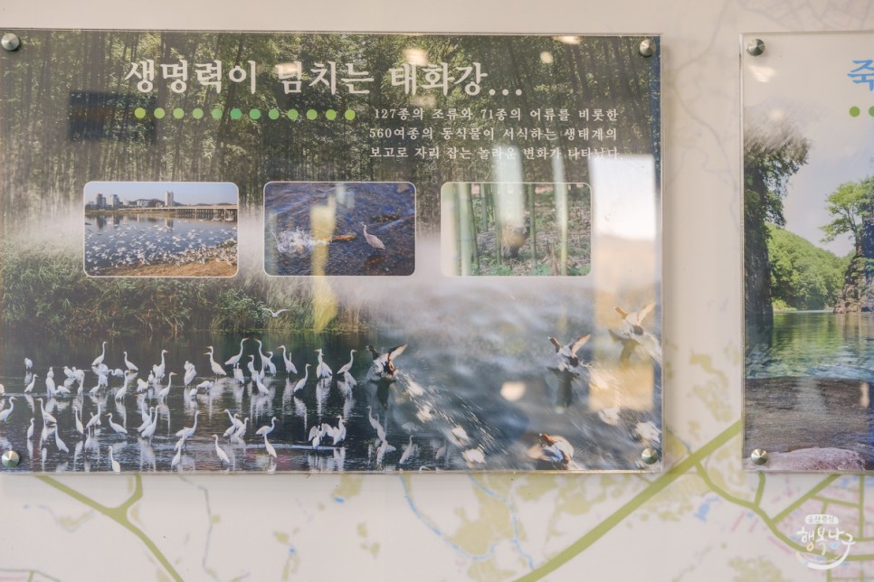 [블로그 기자] 아름다운 풍경과 추억이 있는 태화강 전망대 사진 5