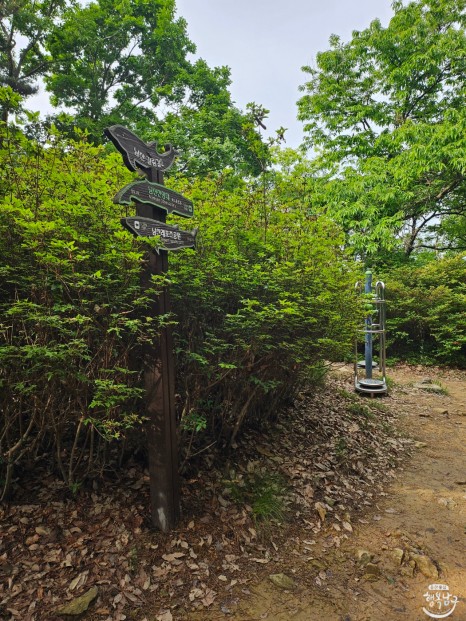 남구에 아름다운 풍경을 볼 수 있는 곳, 남산 전망대를 다녀온 생생후기 사진 12