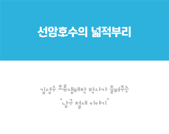 철새 이야기 사진 1