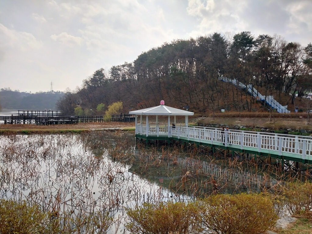 [명예기자] 울산 남구의 대표적인 관광명소인 아름다운 꽃의 정원인 선암호수공원을 소개합니다. 사진 2