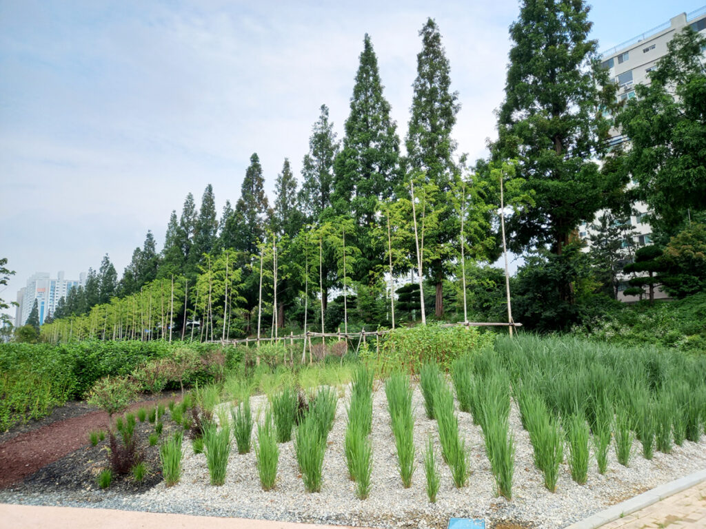   [명예기자] '그라스정원(Grass Garden)'을 다녀오다 사진 12