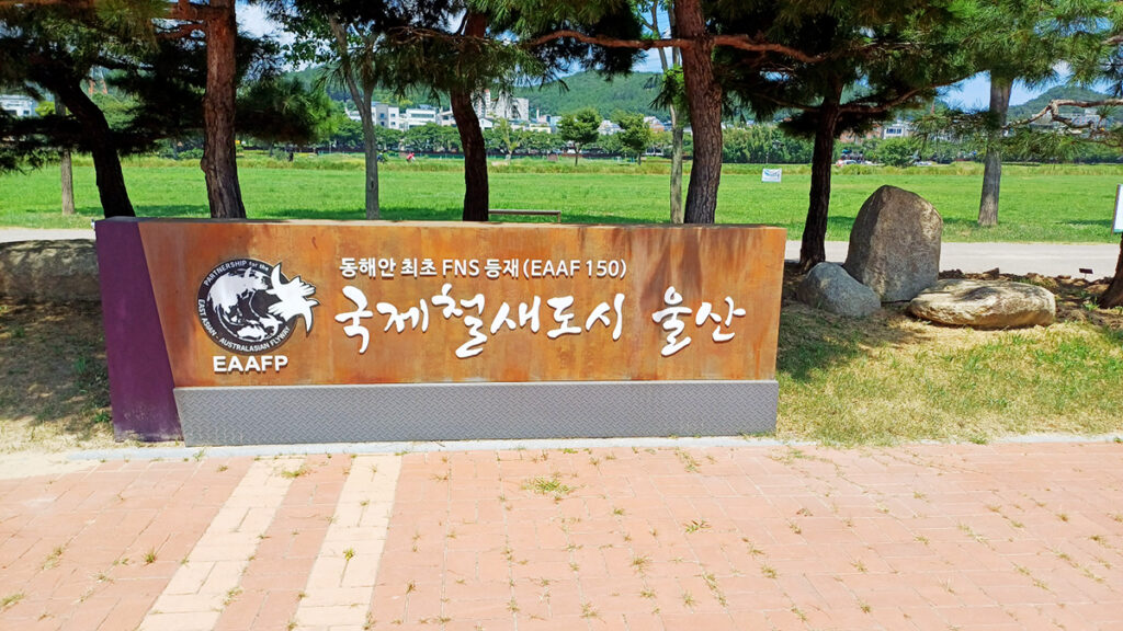 [명예기자] 철새들의 보금자리 삼호대숲 속으로 사진 17