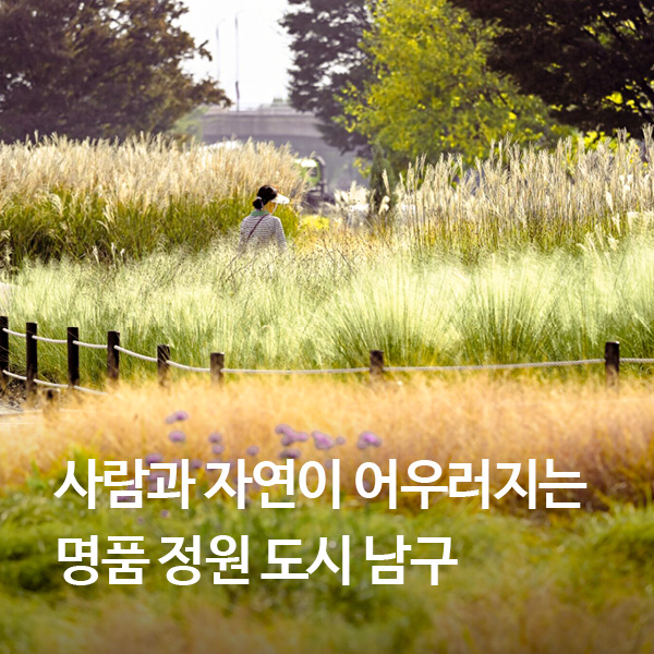 사람과 자연이 어우러지는 명품 정원 도시 남구