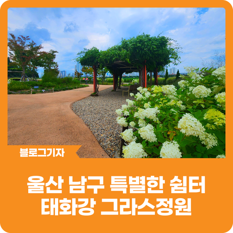 [블로그 기자] 울산 남구 특별한 쉼터이자 힐링 공간, 태화강 그라스정원