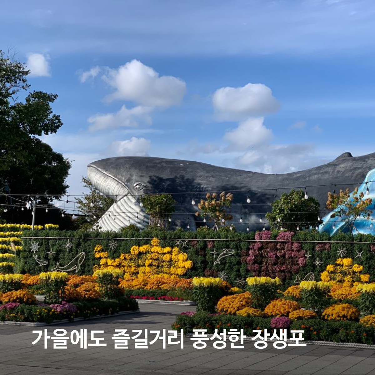 가을에도 즐길거리 풍성한 장생포
