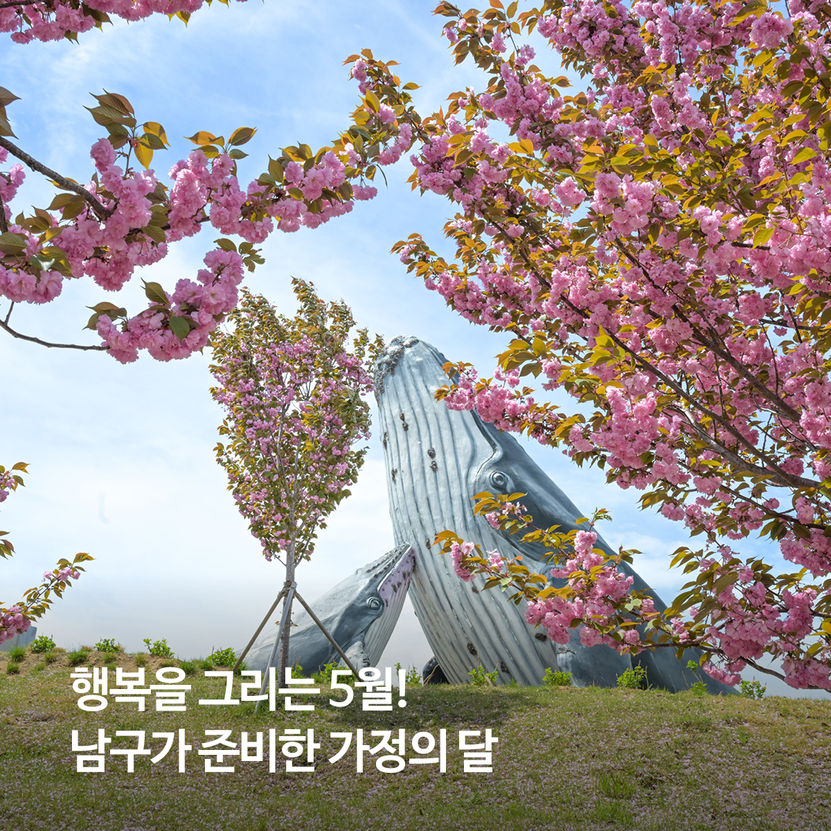 행복을 그리는 5월! 남구가 준비한 가정의 달