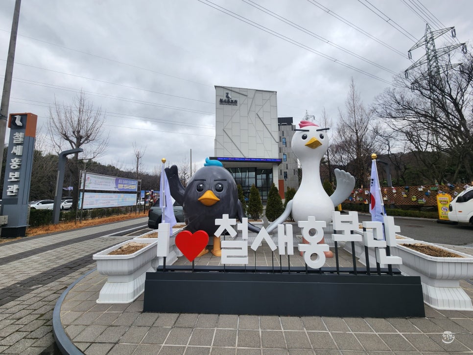 [블로그 기자] 박제 전시 리뉴얼로 볼거리 가득한 울산 철새홍보관 사진 1