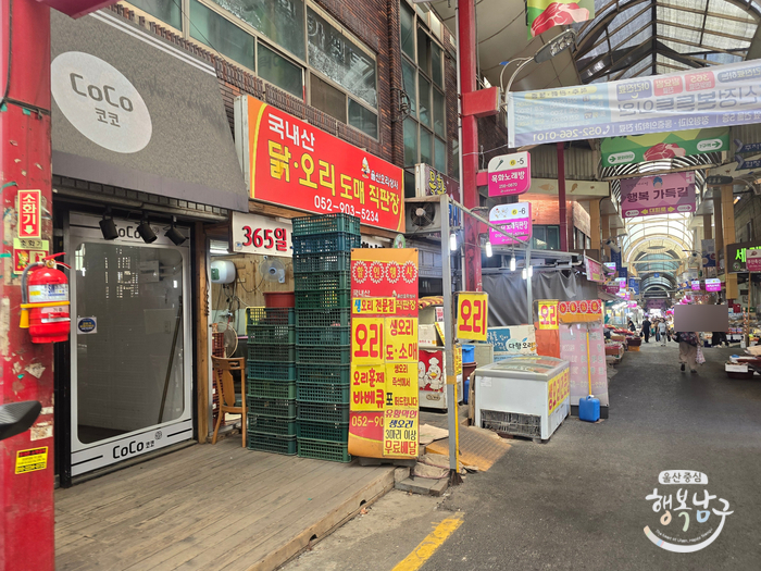 [블로그 기자] 울산 남구 전통시장 신정시장 이용 후기 가는 방법 주차 알차게 둘러보기 사진 4