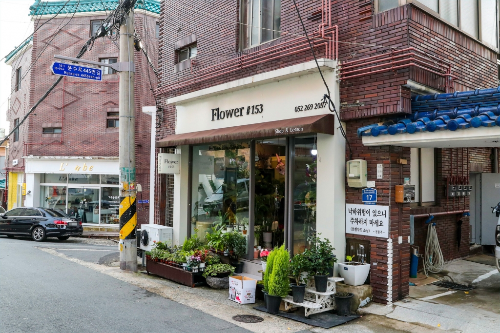 [울산 남구의 길 이야기-4] 모든 길은 남구로 통한다. 사진 7