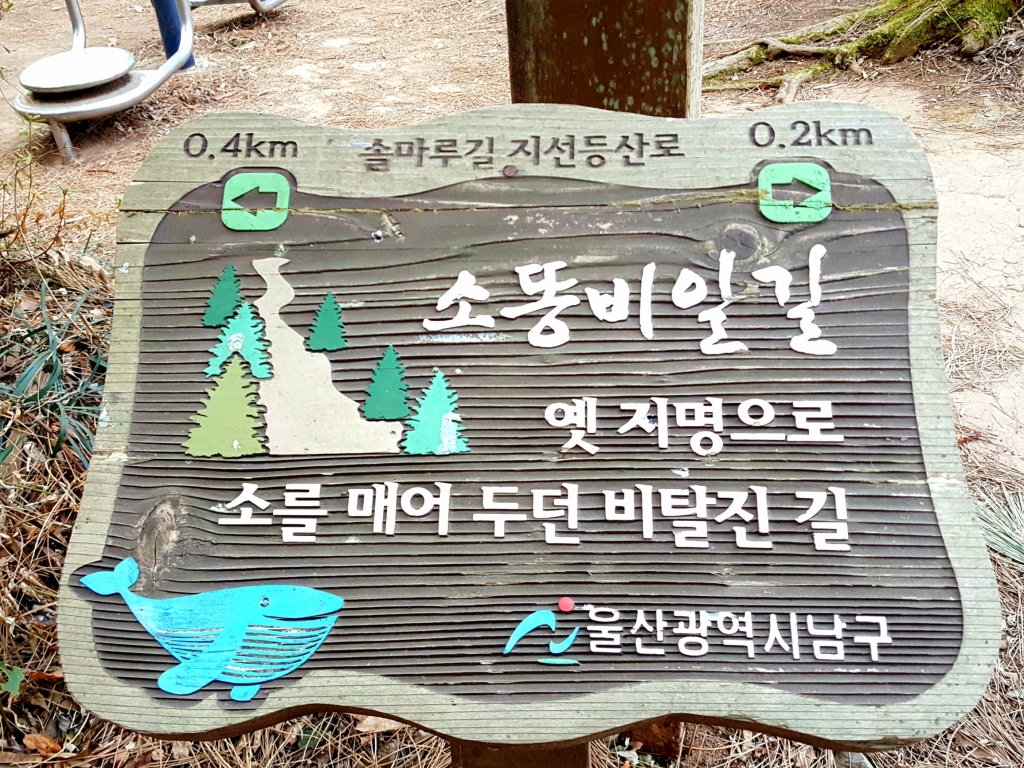 [명예기자] 무지개 놀이터 사진 4