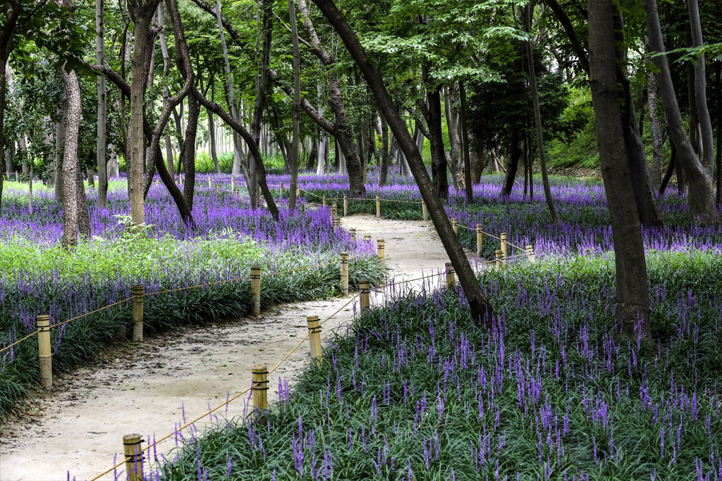 사진으로 보는 우리동네 명소 사진 1
