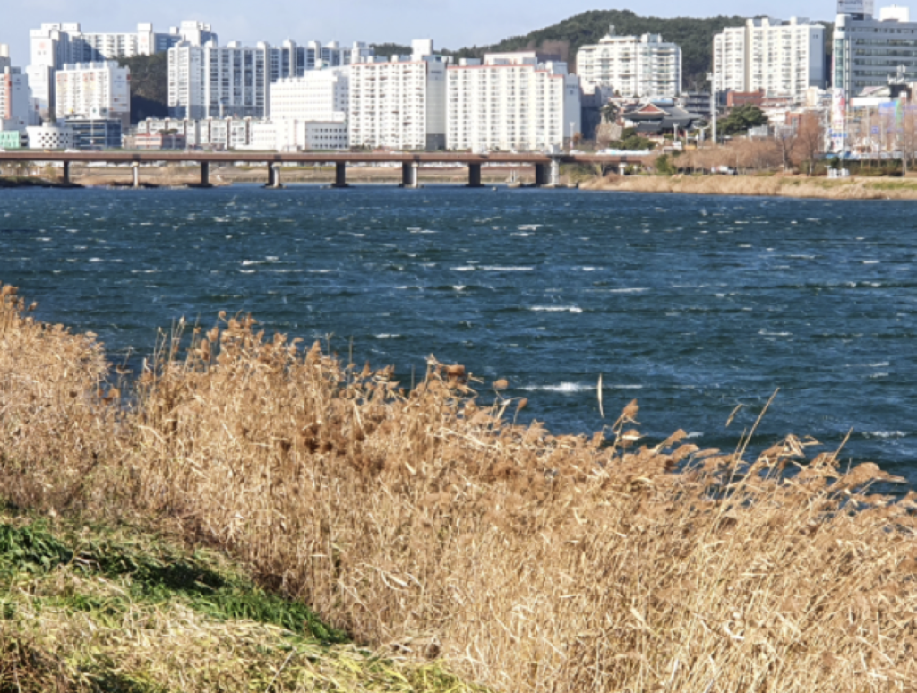 [명예기자] 삶의 에너지를 남구 태화강변에서 얻는다. 사진 1